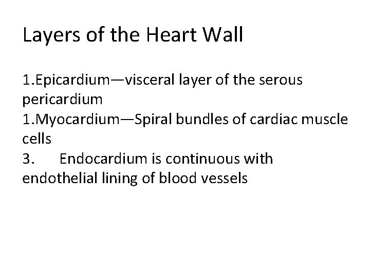 Layers of the Heart Wall 1. Epicardium—visceral layer of the serous pericardium 1. Myocardium—Spiral