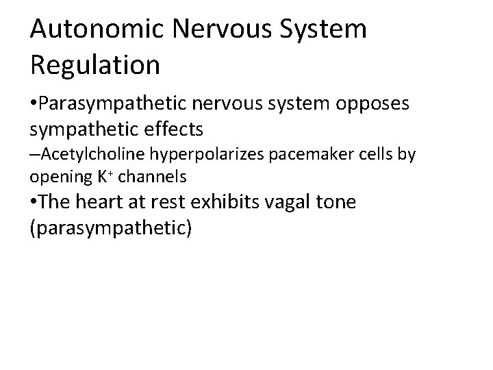 Autonomic Nervous System Regulation • Parasympathetic nervous system opposes sympathetic effects –Acetylcholine hyperpolarizes pacemaker