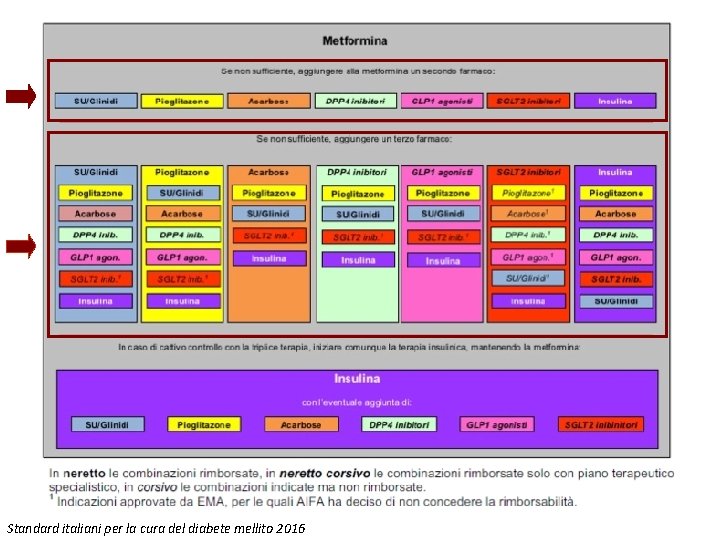 Standard italiani per la cura del diabete mellito 2016 