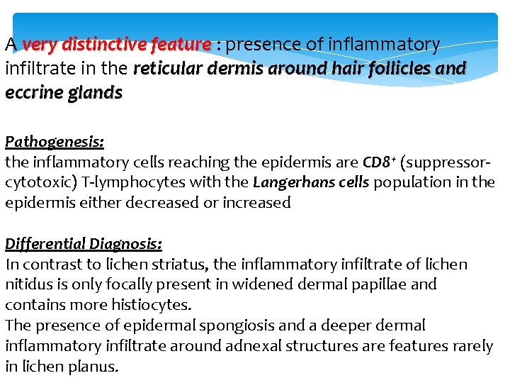 A very distinctive feature : presence of inflammatory infiltrate in the reticular dermis around