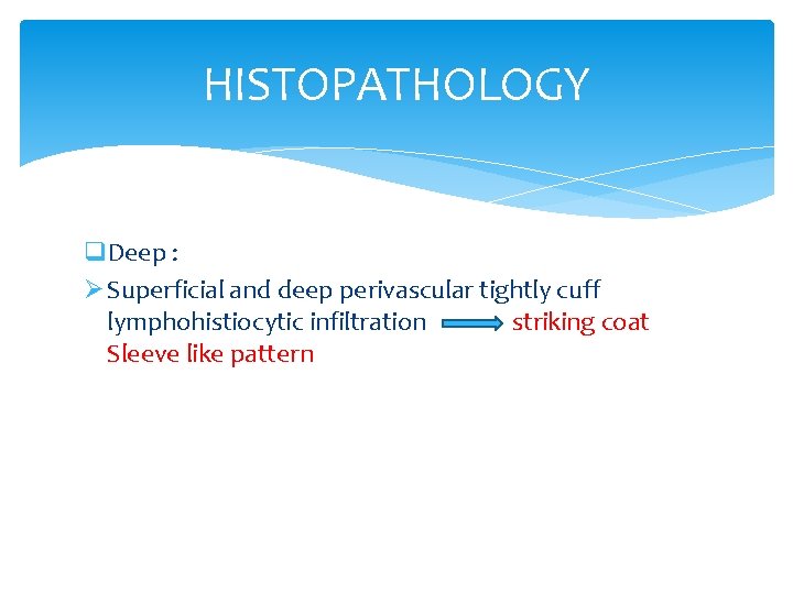 HISTOPATHOLOGY q. Deep : Ø Superficial and deep perivascular tightly cuff lymphohistiocytic infiltration striking