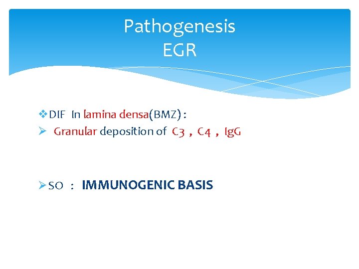 Pathogenesis EGR v. DIF In lamina densa(BMZ) : Ø Granular deposition of C 3