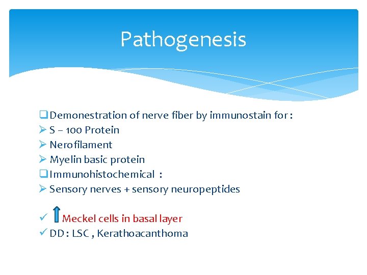 Pathogenesis q Demonestration of nerve fiber by immunostain for : Ø S – 100