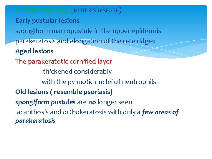 Histopathology (REITER'S DISEASE) Early pustular lesions spongiform macropustule in the upper epidermis parakeratosis and