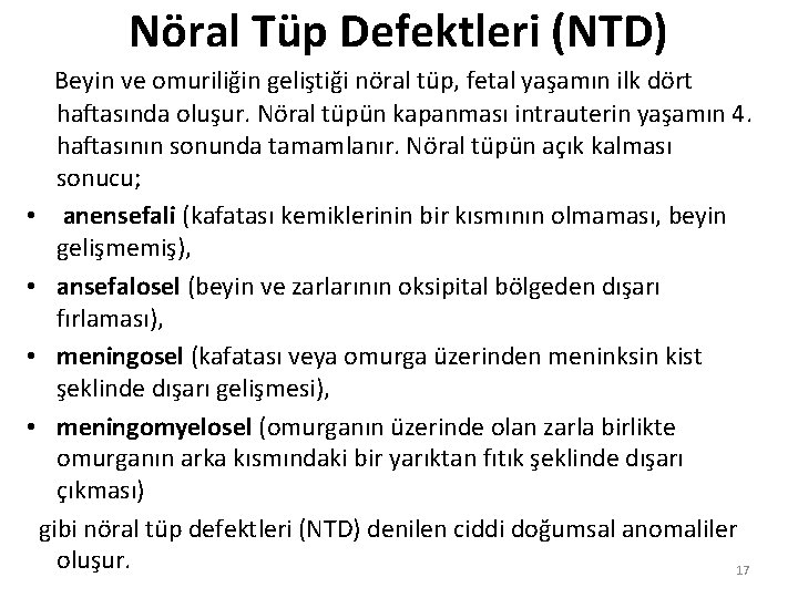 Nöral Tüp Defektleri (NTD) Beyin ve omuriliğin geliştiği nöral tüp, fetal yaşamın ilk dört