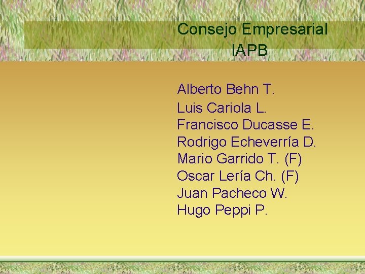 Consejo Empresarial IAPB Alberto Behn T. Luis Cariola L. Francisco Ducasse E. Rodrigo Echeverría
