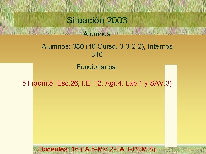 Situación 2003 Alumnos: 380 (10 Curso. 3 -3 -2 -2), Internos 310 Funcionarios: 51