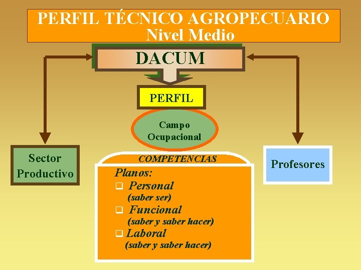 PERFIL TÉCNICO AGROPECUARIO Nivel Medio DACUM PERFIL Campo Ocupacional Sector Productivo COMPETENCIAS Planos: q