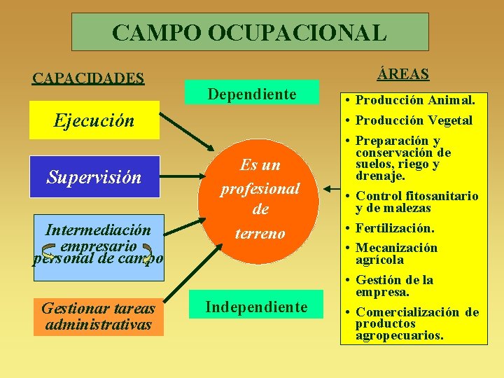 CAMPO OCUPACIONAL CAPACIDADES ÁREAS Dependiente Ejecución Supervisión Intermediación empresario personal de campo Gestionar tareas