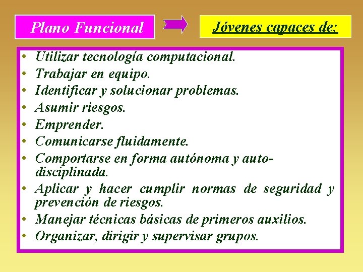 Plano Funcional • • Jóvenes capaces de: Utilizar tecnología computacional. Trabajar en equipo. Identificar