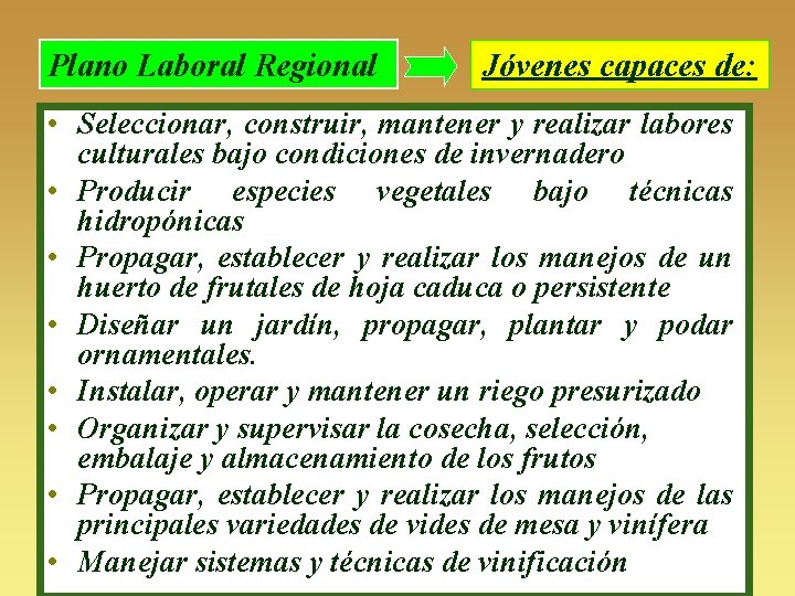 Plano Laboral Regional Jóvenes capaces de: • Seleccionar, construir, mantener y realizar labores culturales