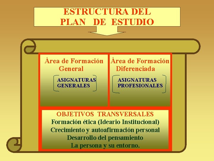 ESTRUCTURA DEL PLAN DE ESTUDIO Área de Formación General Diferenciada ASIGNATURAS GENERALES ASIGNATURAS PROFESIONALES