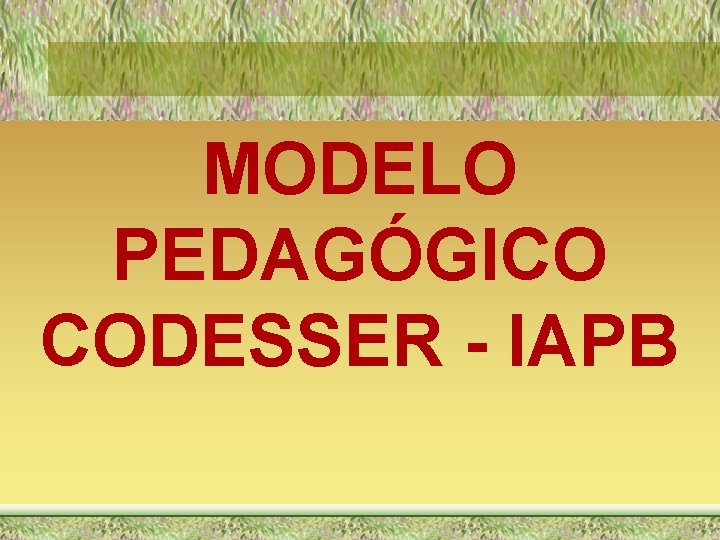 MODELO PEDAGÓGICO CODESSER - IAPB 