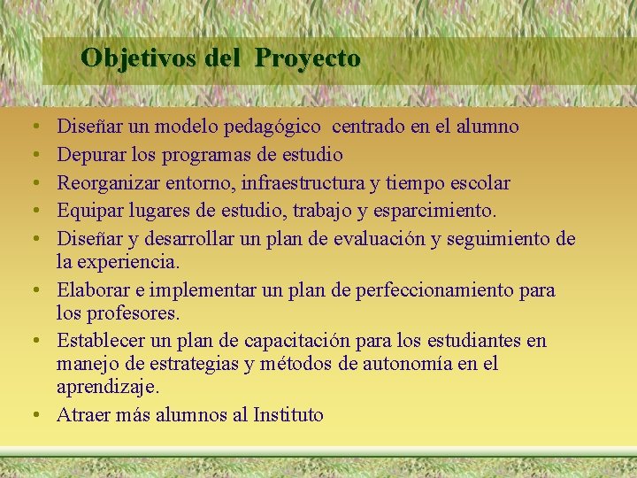 Objetivos del Proyecto • • • Diseñar un modelo pedagógico centrado en el alumno