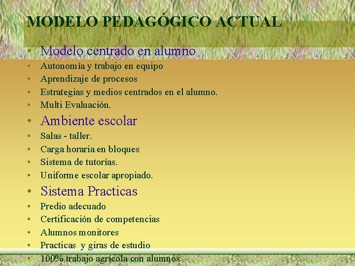 MODELO PEDAGÓGICO ACTUAL • Modelo centrado en alumno • • Autonomía y trabajo en