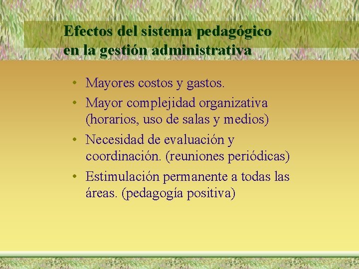 Efectos del sistema pedagógico en la gestión administrativa • Mayores costos y gastos. •