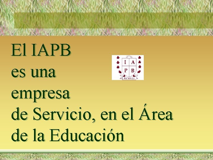El IAPB es una empresa de Servicio, en el Área de la Educación 