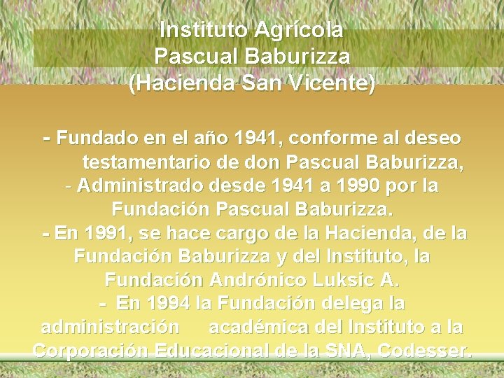 Instituto Agrícola Pascual Baburizza (Hacienda San Vicente) - Fundado en el año 1941, conforme