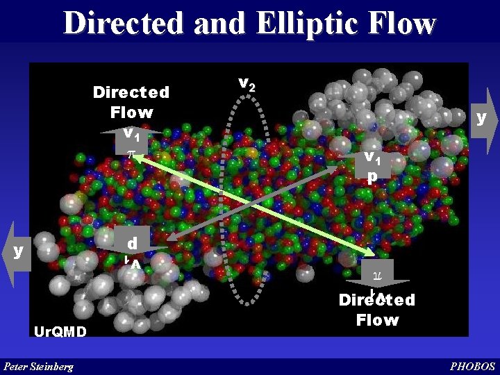 Directed and Elliptic Flow v 1 p y Ur. QMD Peter Steinberg y v