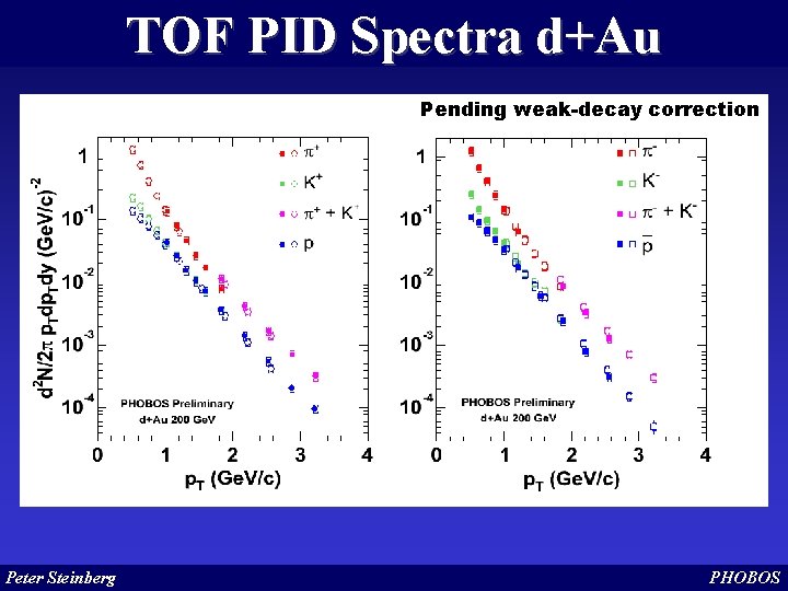 TOF PID Spectra d+Au Pending weak-decay correction Peter Steinberg PHOBOS 