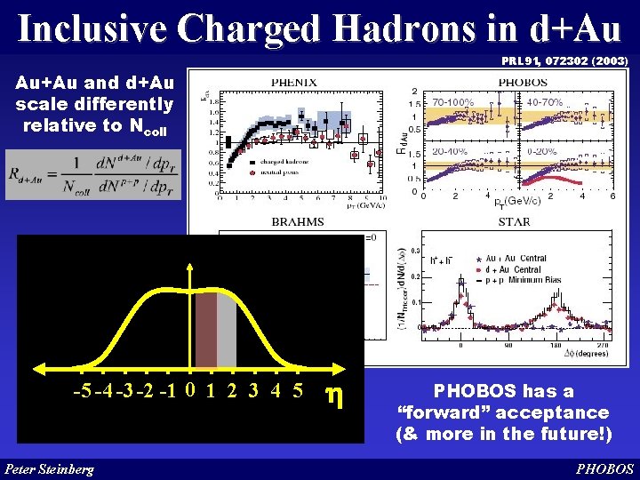 Inclusive Charged Hadrons in d+Au PRL 91, 072302 (2003) Au+Au and d+Au scale differently