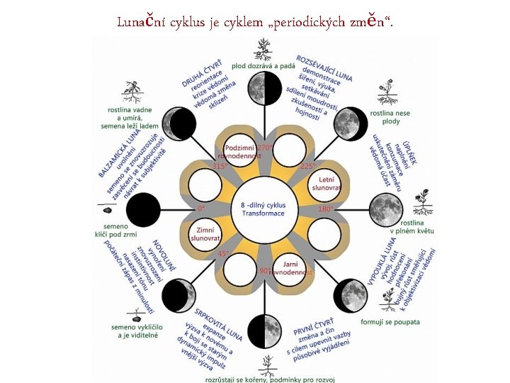 Lunační cyklus je cyklem „periodických změn“. 