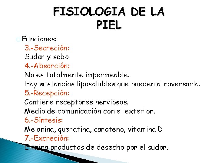 FISIOLOGIA DE LA PIEL � Funciones: 3. -Secreción: Sudor y sebo 4. -Absorción: No