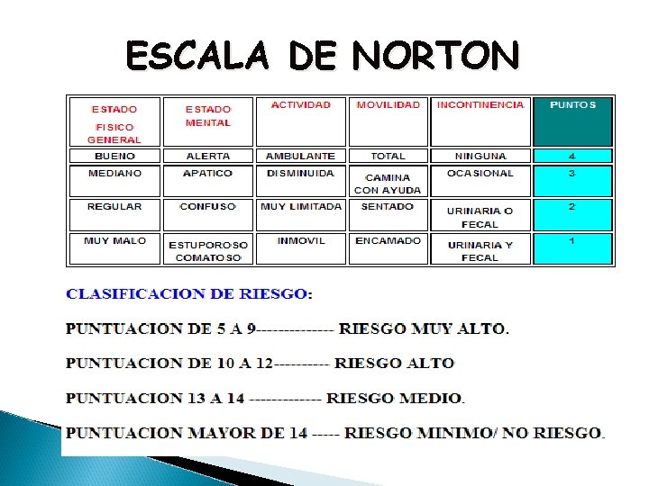 ESCALA DE NORTON 