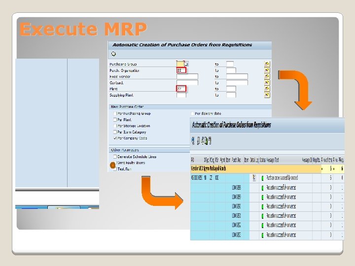 Execute MRP Execute MRP
