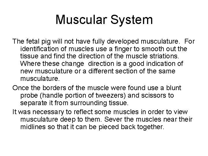 Muscular System The fetal pig will not have fully developed musculature. For identification of