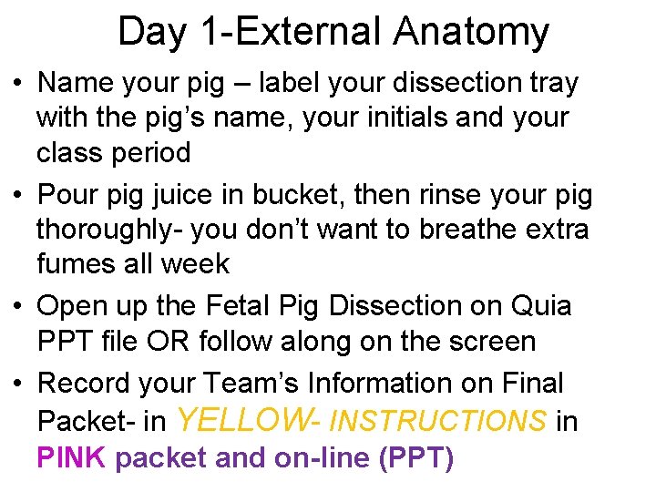 Day 1 -External Anatomy • Name your pig – label your dissection tray with