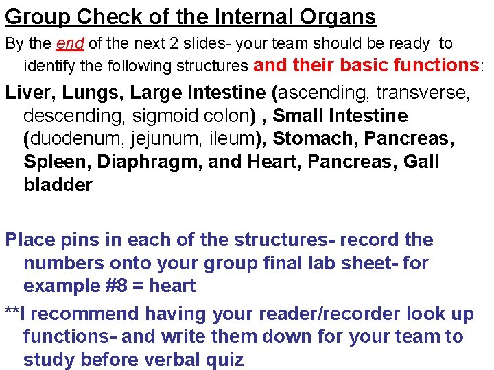 Group Check of the Internal Organs By the end of the next 2 slides-