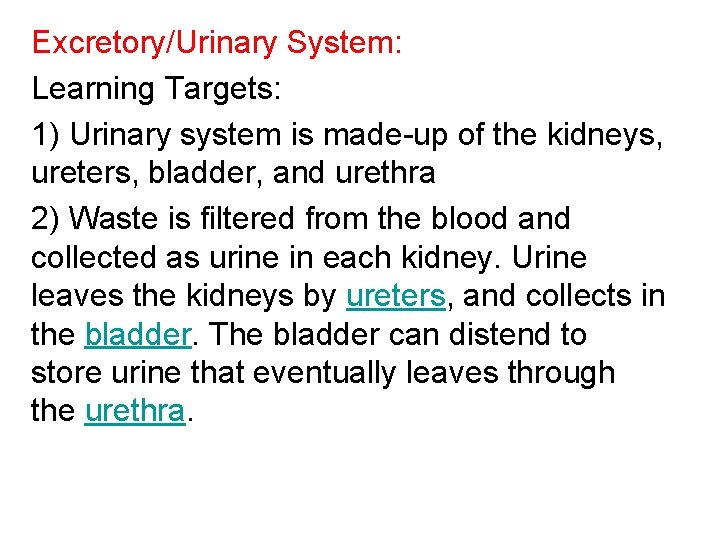 Excretory/Urinary System: Learning Targets: 1) Urinary system is made-up of the kidneys, ureters, bladder, Excretory/Urinary System: Learning Targets: 1) Urinary system is made-up of the kidneys, ureters, bladder,