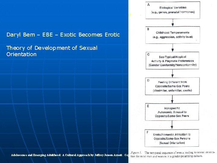Daryl Bem – EBE – Exotic Becomes Erotic Theory of Development of Sexual Orientation