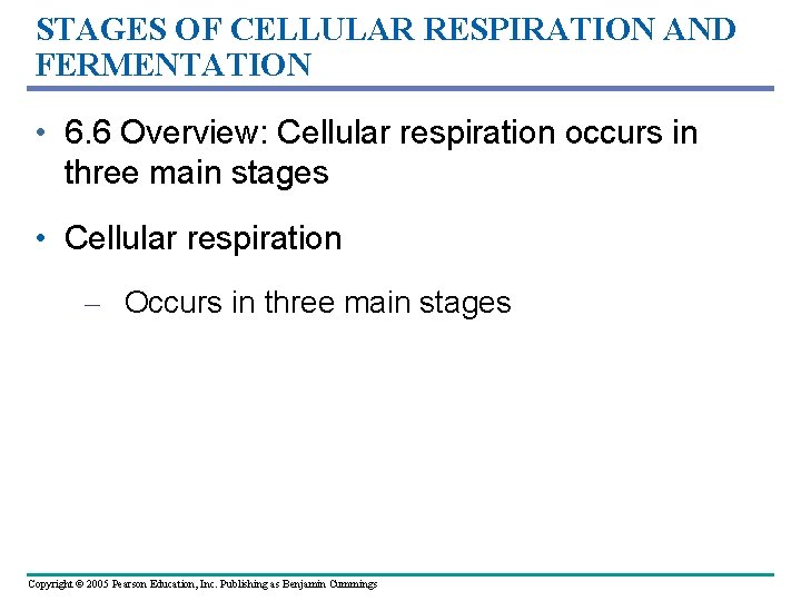 STAGES OF CELLULAR RESPIRATION AND FERMENTATION • 6. 6 Overview: Cellular respiration occurs in