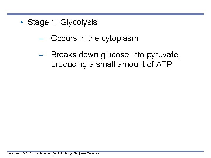  • Stage 1: Glycolysis – Occurs in the cytoplasm – Breaks down glucose