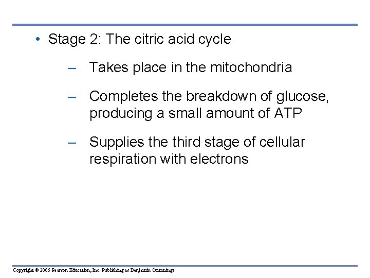  • Stage 2: The citric acid cycle – Takes place in the mitochondria