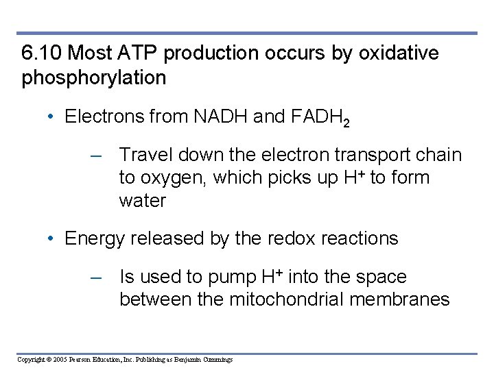 6. 10 Most ATP production occurs by oxidative phosphorylation • Electrons from NADH and