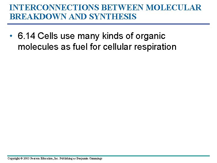 INTERCONNECTIONS BETWEEN MOLECULAR BREAKDOWN AND SYNTHESIS • 6. 14 Cells use many kinds of