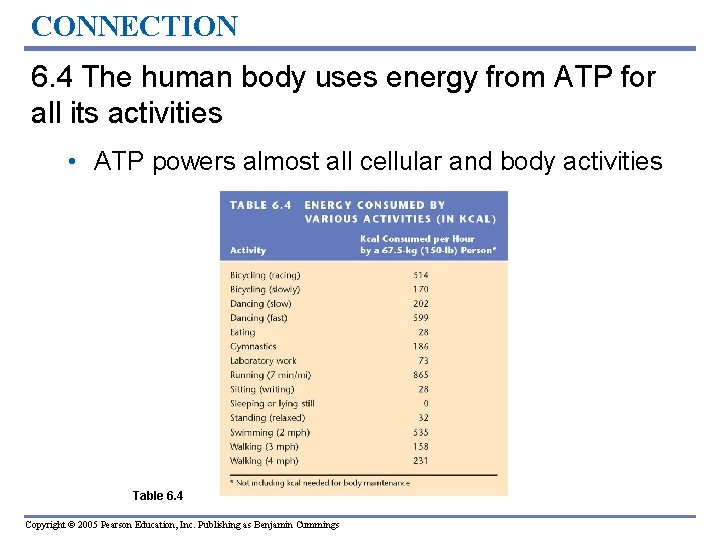 CONNECTION 6. 4 The human body uses energy from ATP for all its activities