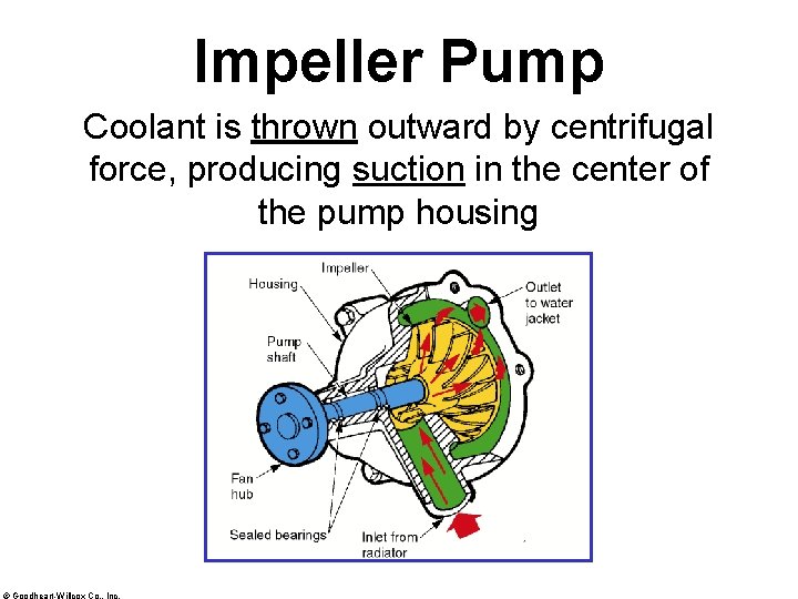 Impeller Pump Coolant is thrown outward by centrifugal force, producing suction in the center