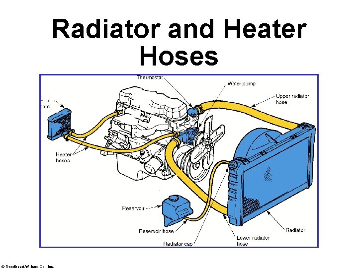 Radiator and Heater Hoses © Goodheart-Willcox Co. , Inc. 