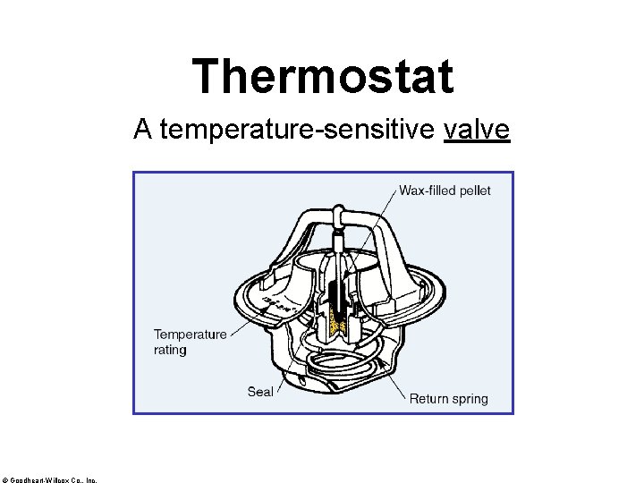 Thermostat A temperature-sensitive valve © Goodheart-Willcox Co. , Inc. 