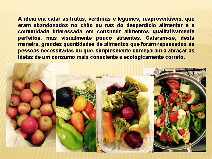 A ideia era catar as frutas, verduras e legumes, reaproveitáveis, que eram abandonados no