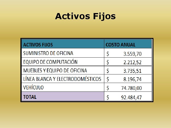 Activos Fijos 