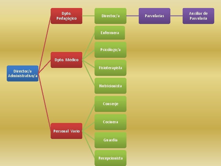 Dpto. Pedagógico Director/a Enfermera Psicólogo/a Dpto. Médico Fisioterapista Director/a Administrativo/a Nutricionista Conserje Cocinera Personal