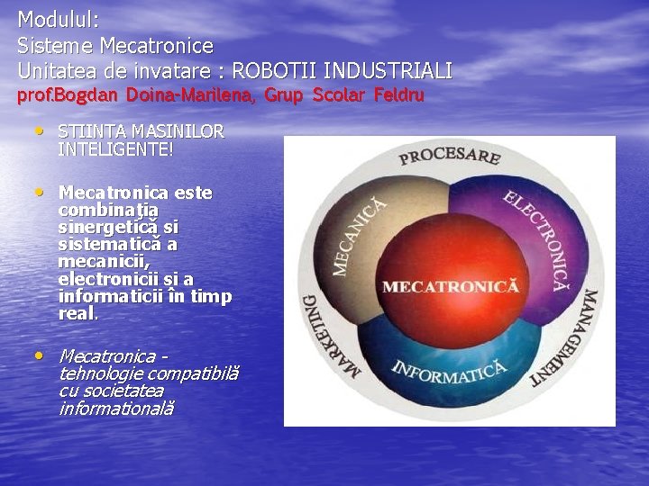 Modulul: Sisteme Mecatronice Unitatea de invatare : ROBOTII INDUSTRIALI prof. Bogdan Doina-Marilena, Grup Scolar