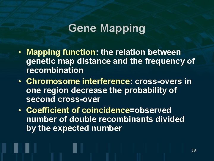 Gene Mapping • Mapping function: the relation between genetic map distance and the frequency Gene Mapping • Mapping function: the relation between genetic map distance and the frequency