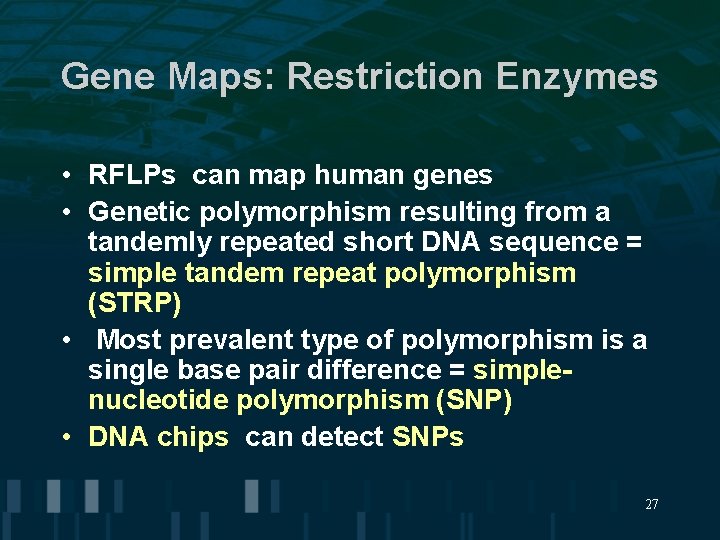 Gene Maps: Restriction Enzymes • RFLPs can map human genes • Genetic polymorphism resulting Gene Maps: Restriction Enzymes • RFLPs can map human genes • Genetic polymorphism resulting