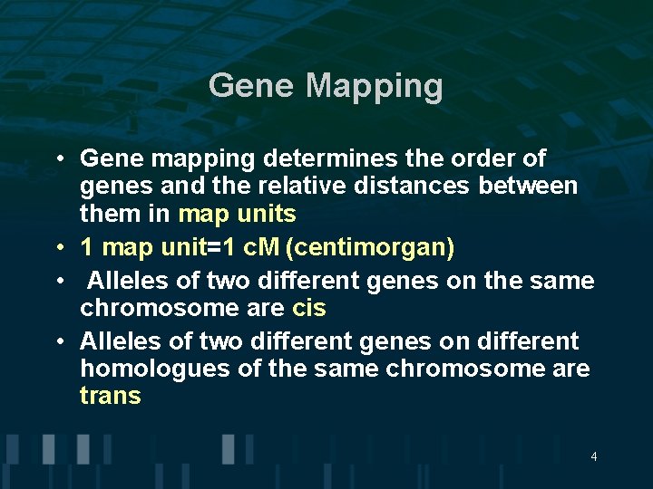 Gene Mapping • Gene mapping determines the order of genes and the relative distances Gene Mapping • Gene mapping determines the order of genes and the relative distances
